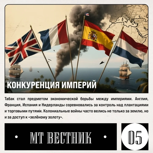 Журнал от МосТАБАК - Выпуск №14 - страница 5